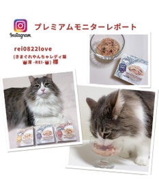 PET PARADISE キャットフード ウェット 缶 まぐろほぐし 75ｇ 《しらす/ 紅鮭/ ほたて》単品