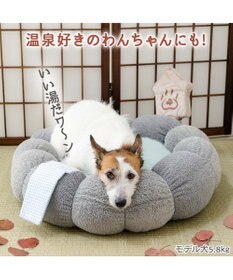 PET PARADISE ペットパラダイス 猫 湯ったり露天風呂 カドラ－