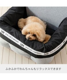PET PARADISE Lee ドライブカドラー 《ロゴ柄》 Ｍ 小型犬