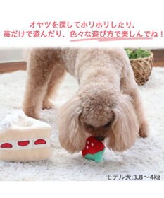PET PARADISE ペットパラダイス  プチケーキ ノーズワーク トイ