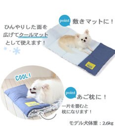 PET PARADISE ディズニー トイ・ストーリー クールロールマット (90×45cm)