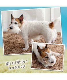 PET PARADISE ペットパラダイス 干支未 おやすみ トイ