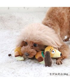 PET PARADISE ディズニー  トイ・ストーリー  スリンキー ロープトイ