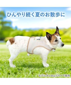 PET PARADISE リサとガスパール 保冷剤付き クール ハーネス 《シトラス柄》  ＳＳ 小型犬