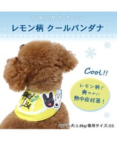 PET PARADISE リサとガスパール レモン柄 クールネック バンダナ《保冷剤付き》【小型犬】