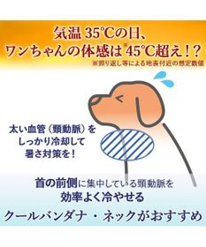 PET PARADISE Lee ヒッコリー ロゴ クールバンダナ 中型犬 大型犬