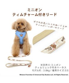 PET PARADISE ミニオン  ティム リード【４Ｓ～３Ｓ】