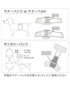PET PARADISE くまちゃん柄 マナーパンツ【小型犬】