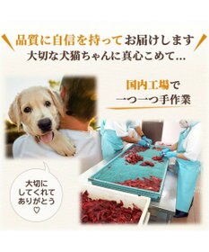 PET PARADISE ペットパラダイス 犬 おやつ デリスタイル8種類 肉系セット（ジビエ含む）