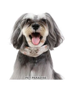 PET PARADISE 花柄 襟付首輪 【３Ｓ】 小型犬