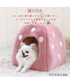 PET PARADISE ペットパラダイス くすみ苺 ハウス M (38×38×40cm) 超小型犬
