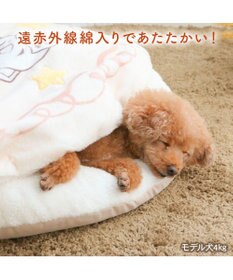 PET PARADISE ディズニー 101匹わんちゃん くつろぎマット Ｍ