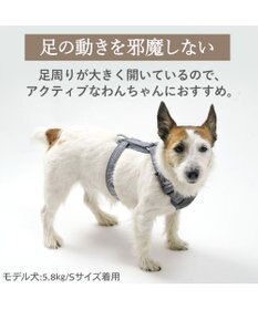 PET PARADISE ペットパラダイス アクティブハーネス 杢調 Ｓ 小型犬