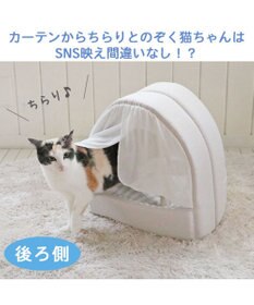 PET PARADISE 猫 ハウス クール 夏 接触冷感 ひんやり ねこハウス (40×35cm)