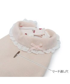 PET PARADISE ペットパラダイス お手軽 ポンチョ 《いちご》 小型犬