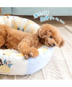 PET PARADISE リサとガスパール シトラス クールカドラー Ｍ