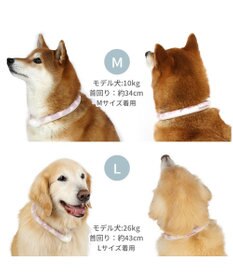 PET PARADISE ペットパラダイス 28℃クールリング  《くま》 Ｌ 大型犬