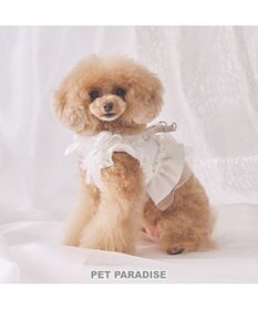 PET PARADISE cherircouture フリフリハーネス 《ホワイト》 小型犬 Ｓ