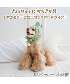 PET PARADISE ペットパラダイス なりきり 恐竜帽子 ＳＭ～Ｍ/Ｌ