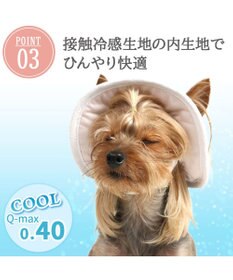 PET PARADISE ペットパラダイス レース クール ハット ４Ｓ～３Ｓ/ＳＳ～Ｓ 小型犬