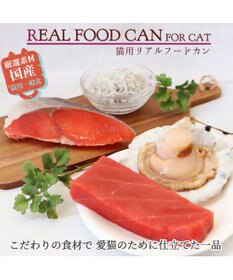 PET PARADISE キャットフード ウェット 缶 まぐろほぐし 75ｇ 《しらす/ 紅鮭/ ほたて》単品