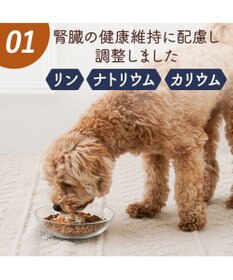 PET PARADISE 愛犬にやさしい スープごはん 鮭