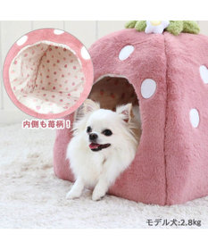 PET PARADISE ペットパラダイス くすみ苺 ハウス M (38×38×40cm) 超小型犬