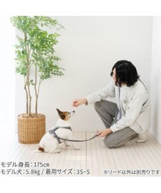 PET PARADISE ペットパラダイス ショルダーリード SS～Ｓ 小型犬