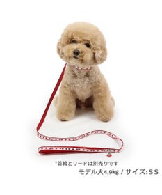 PET PARADISE ペットパラダイス 苺チャーム付き リード ３Ｓ