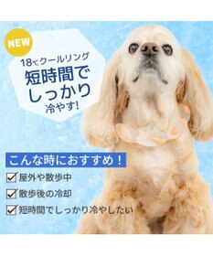 PET PARADISE ペットパラダイス １８℃ クールリング ＳＭ 《アイス柄》中型犬
