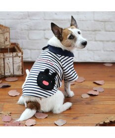 PET PARADISE リサとガスパール ペティヒートDAN Tシャツ 《ボーダー 縞柄》小型犬