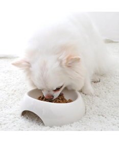 PET PARADISE  ペットパラダイス ドッグフード フローラ3kg 国産
