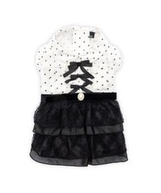 PET PARADISE cherircouture ドットシャツ ワンピース 小型犬