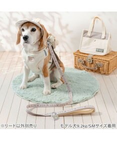 PET PARADISE ペットパラダイス くまチャームリード Ｍ～Ｌ