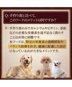 PET PARADISE ビオキッチン エイジングネオ ５００ｇ