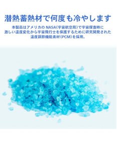 PET PARADISE クールリング 犬 クールネック ひんやり 28℃クールリング 【Ｓ】 リフレクター 水色 ベージュ  反射材付き