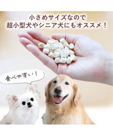 PET PARADISE スヌーピー 鶏むね肉と軟骨 20g