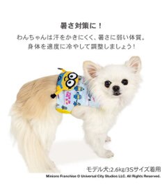 PET PARADISE ミニオン クールベスト 《アイス柄》 小型犬