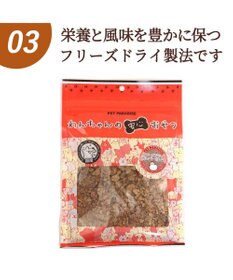 PET PARADISE フリーズドライ 鶏レバーほぐし 大袋 60g