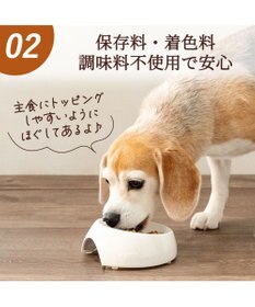 PET PARADISE フリーズドライ 鶏レバーほぐし 大袋 60g
