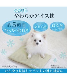 PET PARADISE やわらか アイス枕 (29.5×18cm)