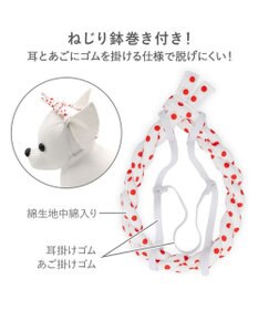 PET PARADISE ペットパラダイス ねじり鉢巻き付き 法被　中型犬 大型犬