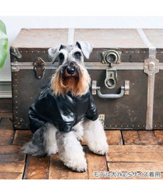 PET PARADISE Lee ＰＵ ライダース ジャケット 小型犬