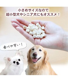 PET PARADISE スヌーピー 鶏むね肉と軟骨 23g