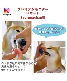 PET PARADISE 【ネット店限定】ペット用品  曲がる 歯ブラシ ２本セット  全犬種対応