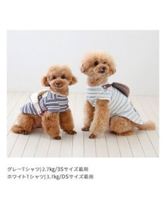PET PARADISE スヌーピー お揃いTシャツ マルチボーダー《ホワイト》 小型犬