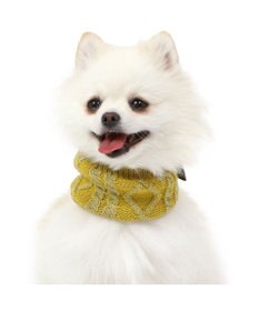PET PARADISE ペットパラダイス 反射スヌード 《イエロー》 小型犬