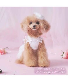 PET PARADISE cherircouture メニーローズ ワンピース ホワイト 小型犬