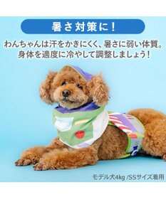 PET PARADISE ディズニー トイ・ストーリー バズ 保冷付き帽子 小型犬