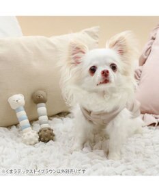 PET PARADISE ペットパラダイス くまちゃん ラテックス トイ 《ブラウン》